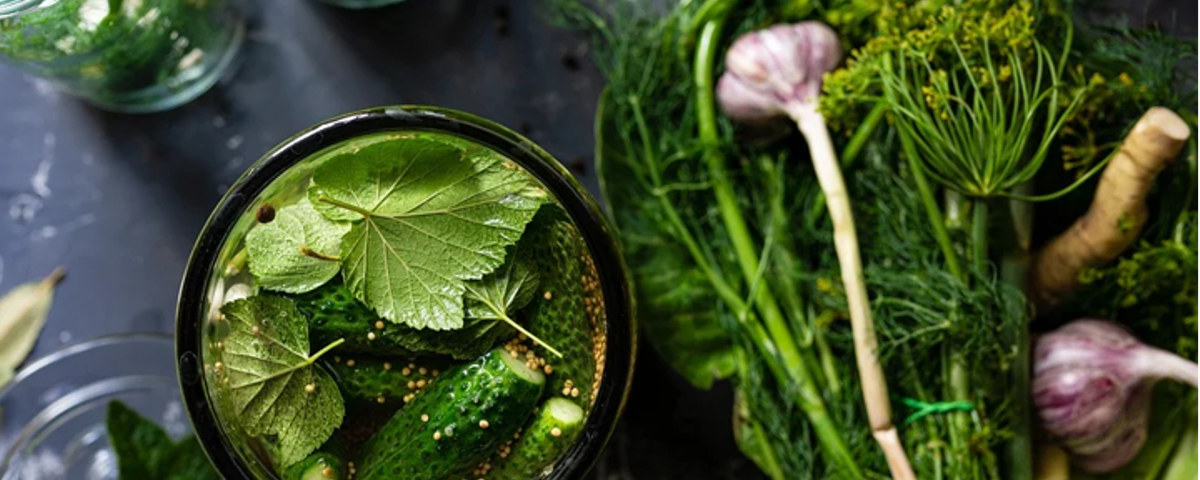DDA & Company conseille Nutricia, filiale de Danone, dans son acquisiton de Real Food Blends