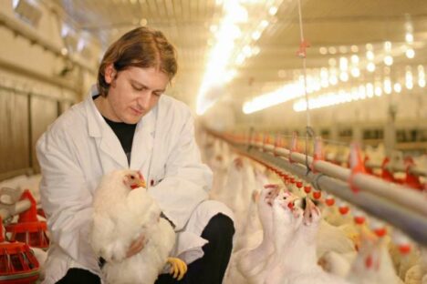 DDA & Company conseille Adisseo dans le cadre de l&rsquo;acquisition de Nor-Feed