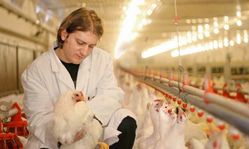 DDA & Company conseille Adisseo dans le cadre de l&rsquo;acquisition de Nor-Feed